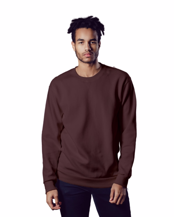 Men's Maroon sweatshirt front view