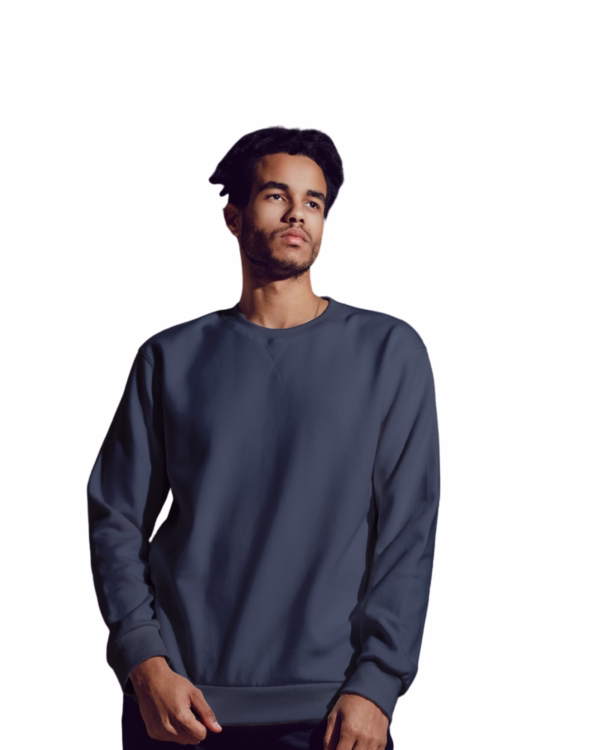 Men's Navy Blue sweatshirt side view