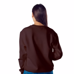 Women Maroon Solid Boxy Sweatshirt back
