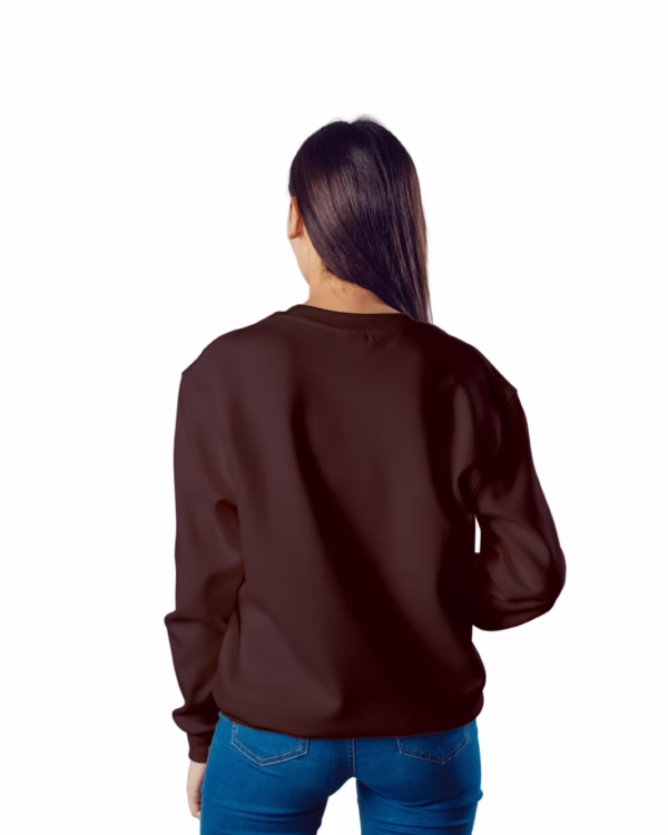 Women Maroon Solid Boxy Sweatshirt back