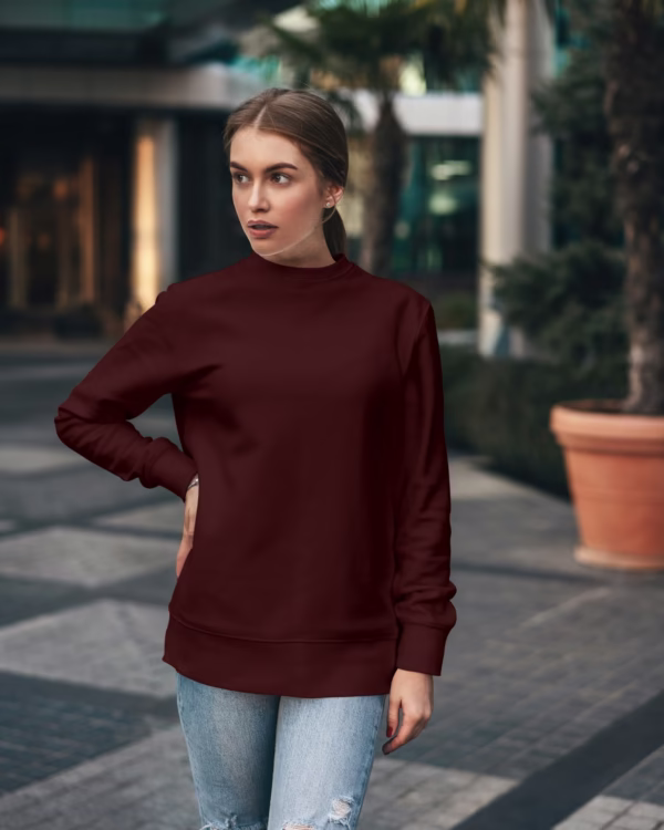 Women Maroon Solid Boxy Sweatshirt side